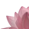 Стикер 49 Lotus - лотосы