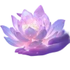 Стикер 54 Lotus - лотосы