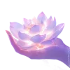 Стикер 34 Lotus - лотосы