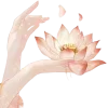 Стикер 19 Lotus - лотосы