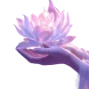 Стикер 26 Lotus - лотосы