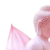 Обложка набора Lotus - лотосы