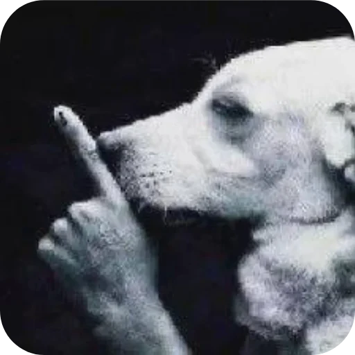 🤫 Стикер «Великий пак» для Telegram