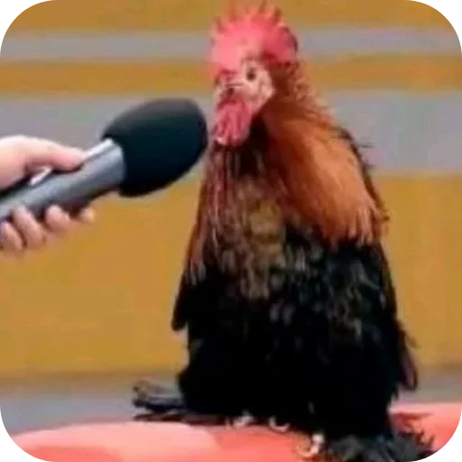 ✋ Стикер «Великий пак» для Telegram