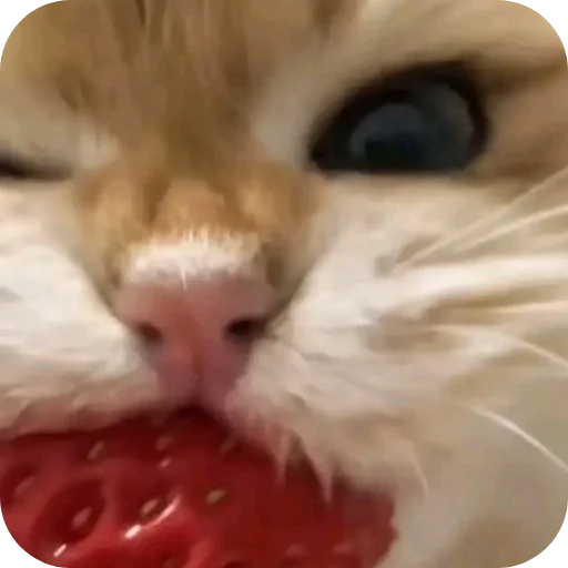❤️ Стикер «Великий пак» для Telegram