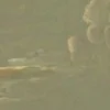 Стикер 27 foggy