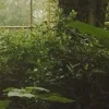 Стикер 30 foggy