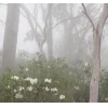 Стикер 47 foggy