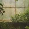 Стикер 29 foggy