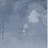 Обложка набора foggy