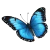 Стикер 8 🤩 эмодзи в стиле frutiger aero