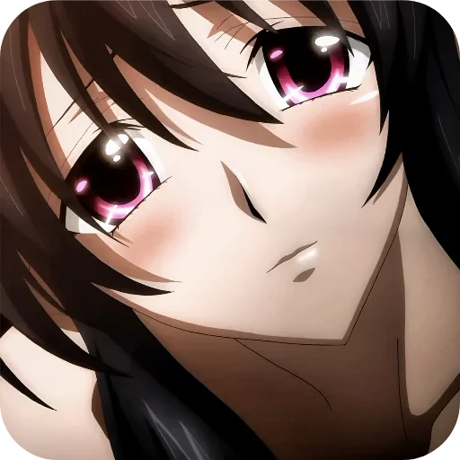 🔥 Стикер «High School DxD» для Telegram