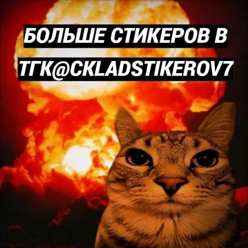 🤩 Стикер «Люди в черном» для Telegram