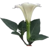 Стикер 17 Я Еще Не