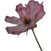 Стикер 22 Я Еще Не