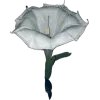 Стикер 19 Я Еще Не