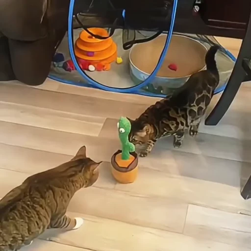 🐈 Стикер «Собачки и котики» для Telegram