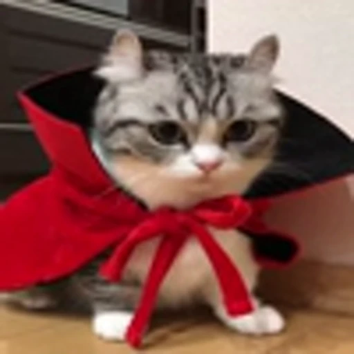 🧛‍♂️ Эмодзи «Komaru» для Telegram