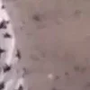 Стикер 48 Я бы тоже заплакал....