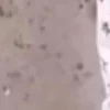 Стикер 53 Я бы тоже заплакал....