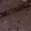 🤐 Эмодзи «Я бы тоже заплакал....» для Telegram