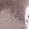 Стикер 45 Я бы тоже заплакал....