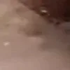 Стикер 24 Я бы тоже заплакал....