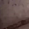 😣 Эмодзи «Я бы тоже заплакал....» для Telegram
