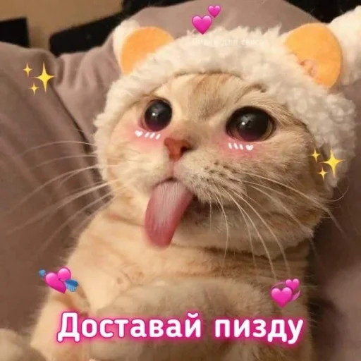 🤩 Стикер «Больше стикеров» для Telegram