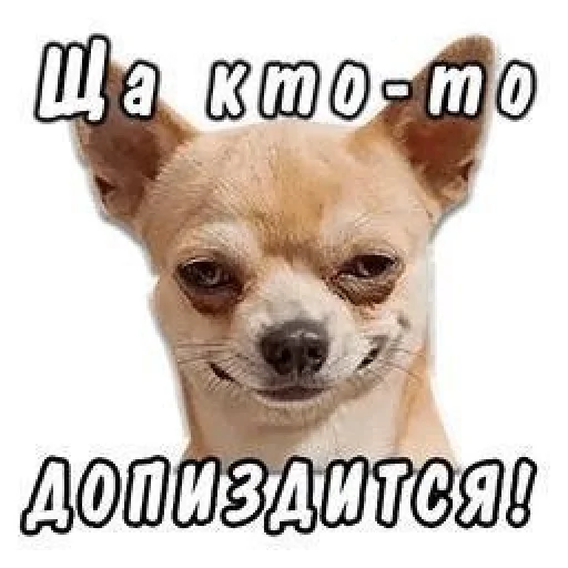 🤩 Стикер «Больше стикеров» для Telegram