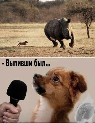 🤩 Стикер «Больше стикеров» для Telegram
