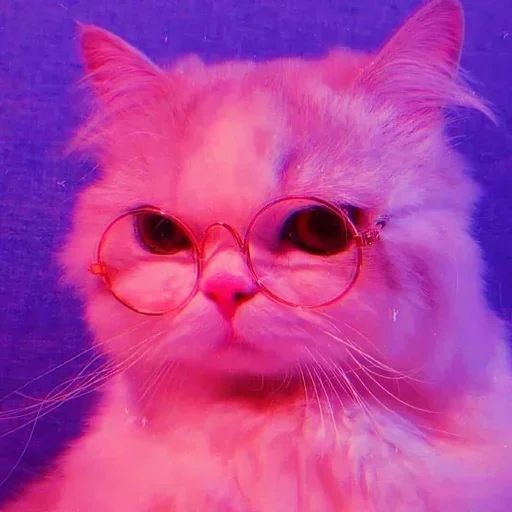 🌸 Стикер «Мяв мяв» для Telegram