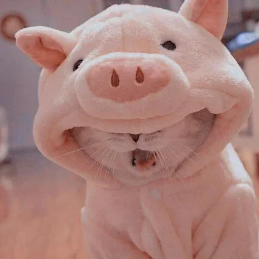 🌸 Стикер «Мяв мяв» для Telegram