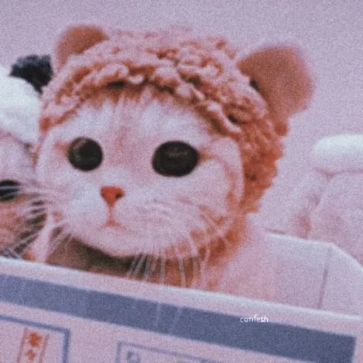 🌸 Стикер «Мяв мяв» для Telegram