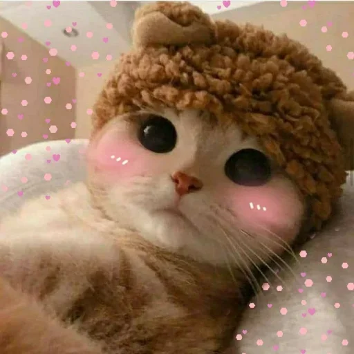 🌸 Стикер «Мяв мяв» для Telegram