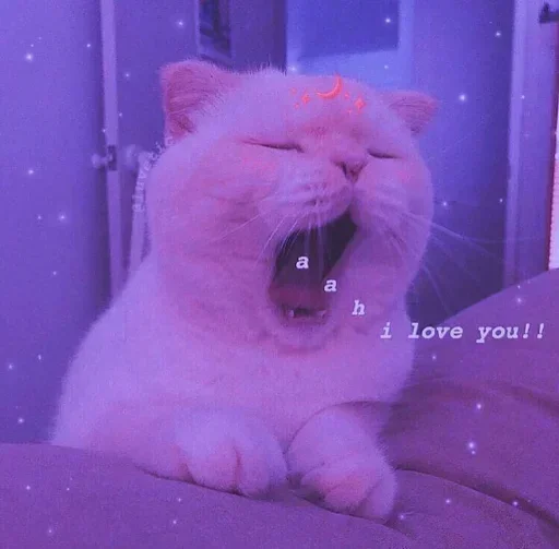 🌸 Стикер «Мяв мяв» для Telegram