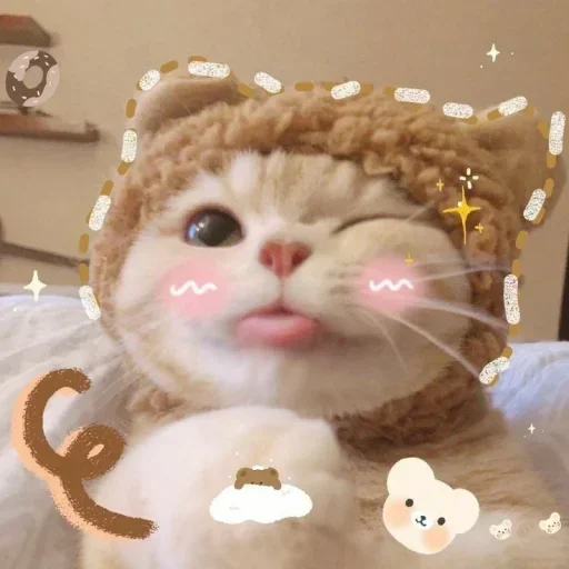 🌸 Стикер «Мяв мяв» для Telegram