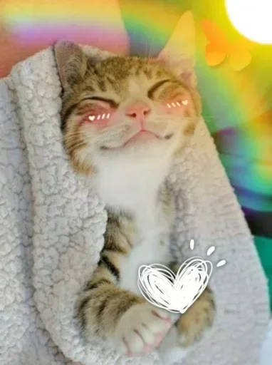 🌸 Стикер «Мяв мяв» для Telegram
