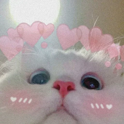 🌸 Стикер «Мяв мяв» для Telegram