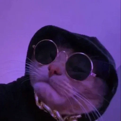 🌸 Стикер «Мяв мяв» для Telegram