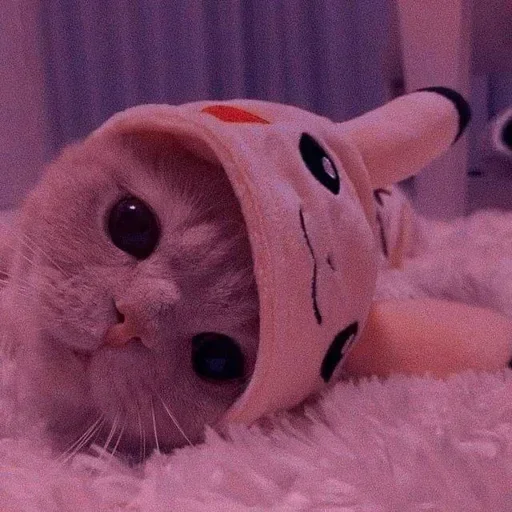 🌸 Стикер «Мяв мяв» для Telegram