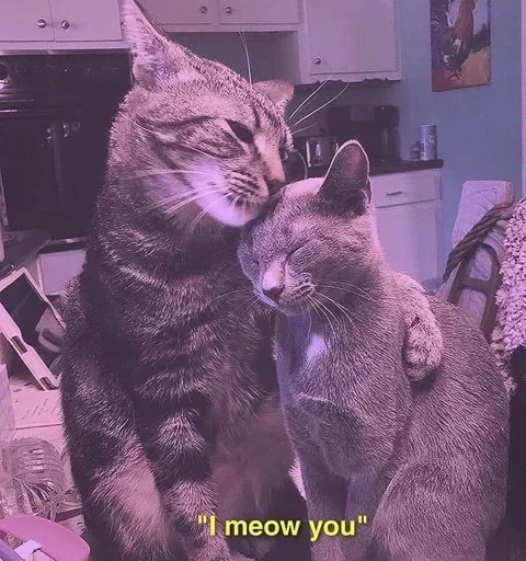 🌸 Стикер «Мяв мяв» для Telegram