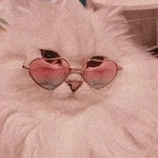 🌸 Стикер «Мяв мяв» для Telegram