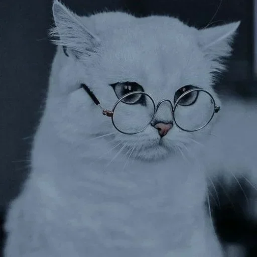 🌸 Стикер «Мяв мяв» для Telegram