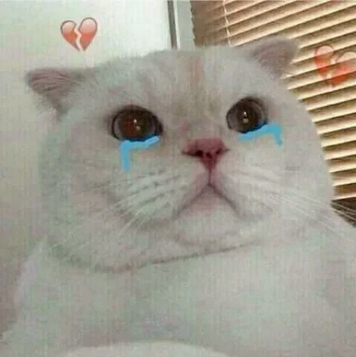 🌸 Стикер «Мяв мяв» для Telegram