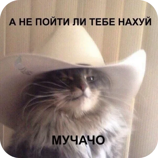 🐱 Стикер «Ya pedik» для Telegram