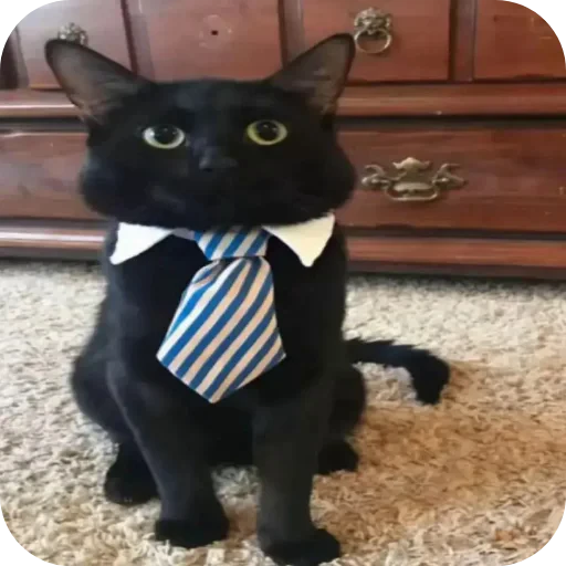 🐱 Стикер «Ya pedik» для Telegram