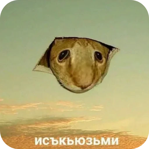 🐦 Стикер «Ya pedik» для Telegram