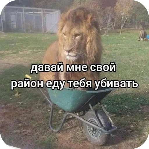 👍 Стикер «Ya pedik» для Telegram
