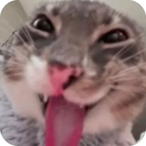 🤪 Стикер «стики для ребятишек» для Telegram